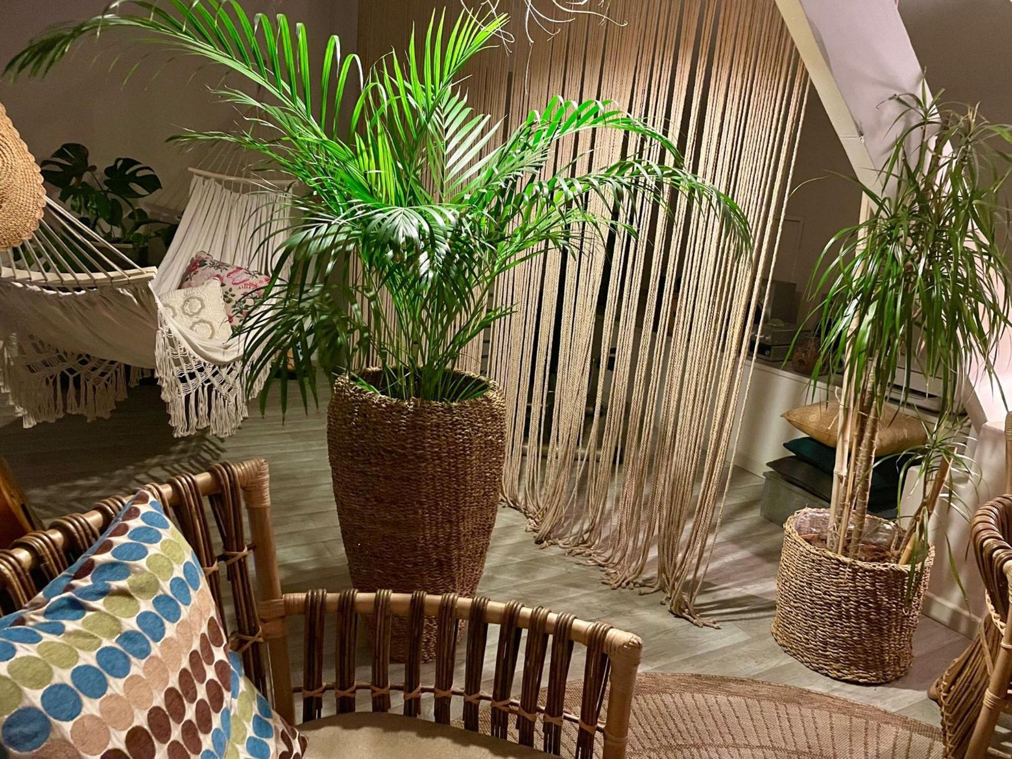 Chambre Boheme Chez Rachel Pau Eksteriør bilde